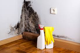 Best Water Damage & Mold Remediation  in Pleasant Garden, NC